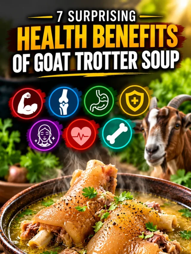 7 Surprising Health Benefits of Goat Trotter Soup